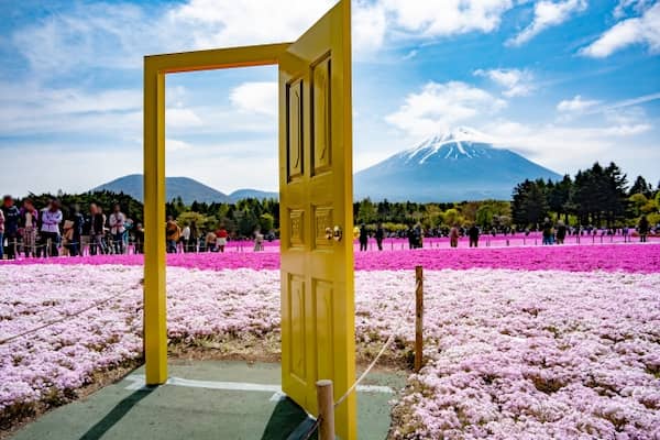 富士芝桜まつり　幸せの黄色い扉